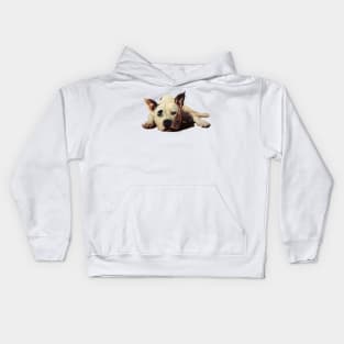 Pitbull Kids Hoodie